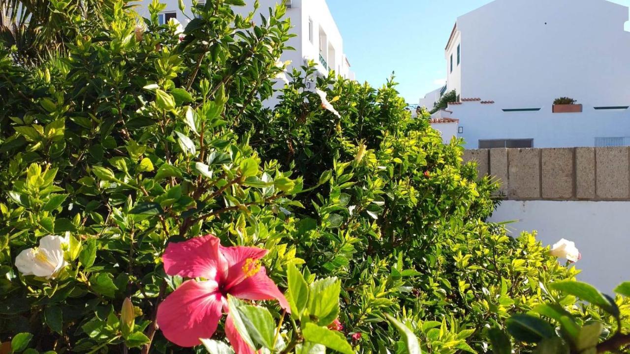 Parque Don Jose, Casa Antonella Costa Del Silencio Εξωτερικό φωτογραφία