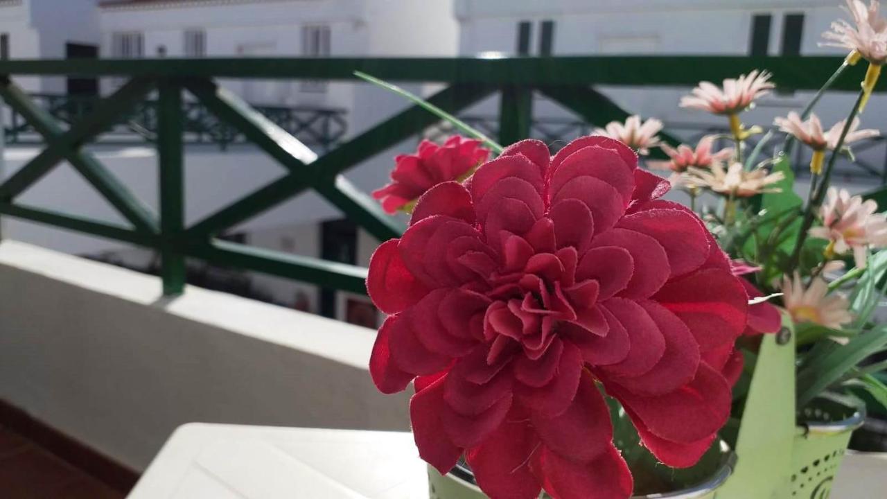 Parque Don Jose, Casa Antonella Costa Del Silencio Εξωτερικό φωτογραφία